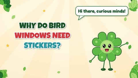 Why Do Bird Windows Need Stickers?