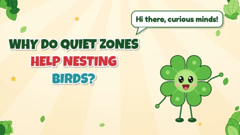 Why Do Quiet Zones Help Nesting Birds?