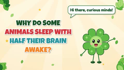 Why Do Some Animals Sleep with Half Their Brain Awake?