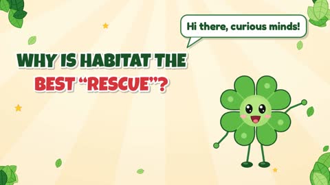 Why Is Habitat the Best “Rescue”?