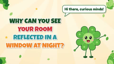 Why Can You See Your Room Reflected in a Window at Night?