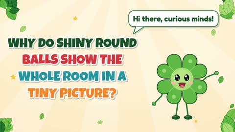Why Do Shiny Round Balls Show the Whole Room in a Tiny Picture?