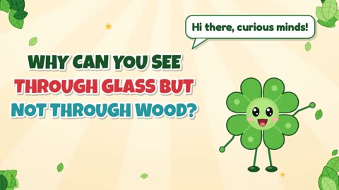 Why Can You See Through Glass but Not Through Wood?