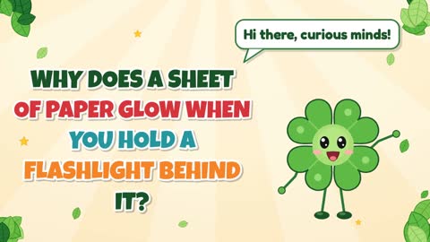 Why Does a Sheet of Paper Glow When You Hold a Flashlight Behind It?
