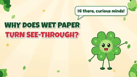 Why Does Wet Paper Turn See-Through?