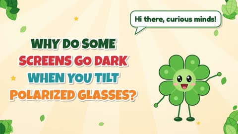 Why Do Some Screens Go Dark When You Tilt Polarized Glasses?