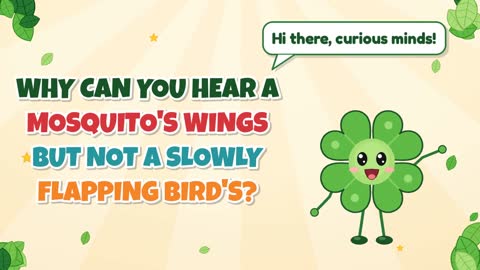 Why Can You Hear a Mosquito's Wings but Not a Slowly Flapping Bird's?