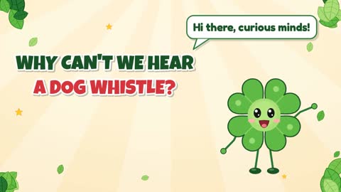 Why Can't We Hear a Dog Whistle?