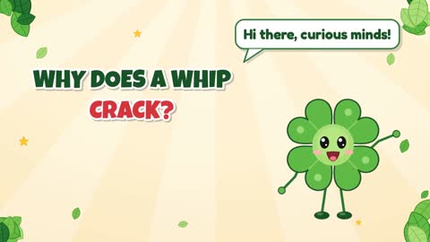 Why Does a Whip Crack?