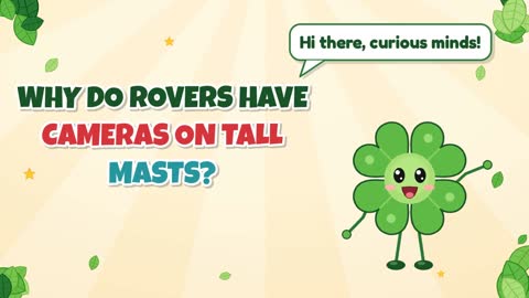 Why Do Rovers Have Cameras on Tall Masts?