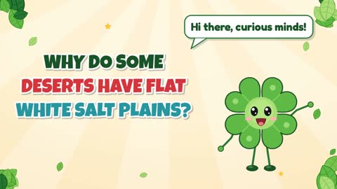 Why Do Some Deserts Have Flat White Salt Plains?