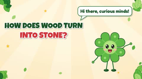 How Does Wood Turn Into Stone?