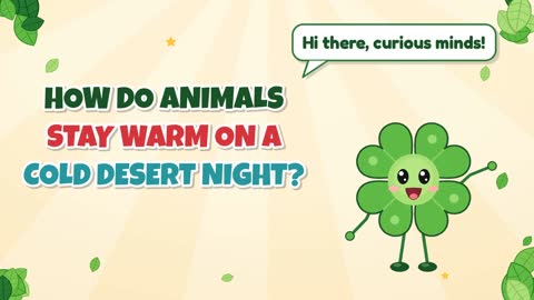 How Do Animals Stay Warm on a Cold Desert Night?