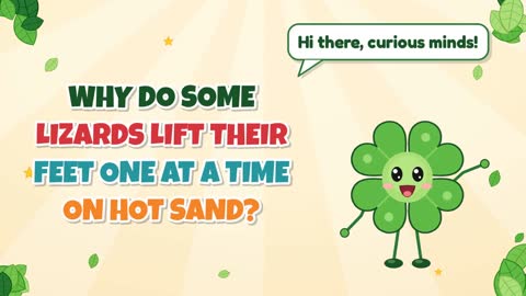 Why Do Some Lizards Lift Their Feet One at a Time on Hot Sand?