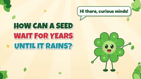 How Can a Seed Wait for Years Until It Rains?