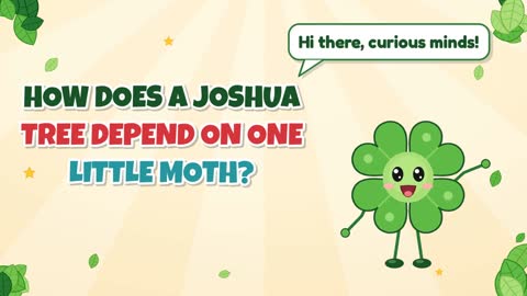How Does a Joshua Tree Depend on One Little Moth?