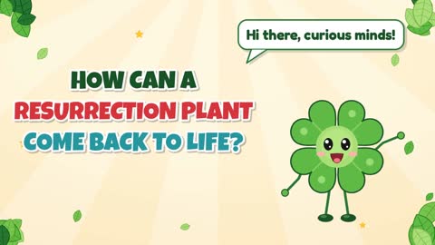 How Can a Resurrection Plant Come Back to Life?