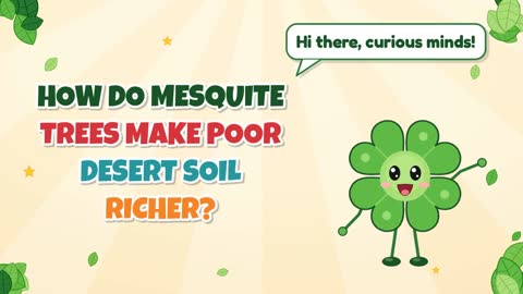 How Do Mesquite Trees Make Poor Desert Soil Richer?
