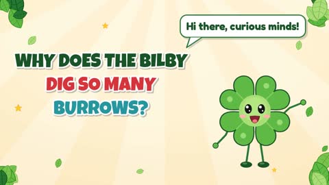 Why Does the Bilby Dig So Many Burrows?