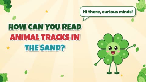 How Can You Read Animal Tracks in the Sand?