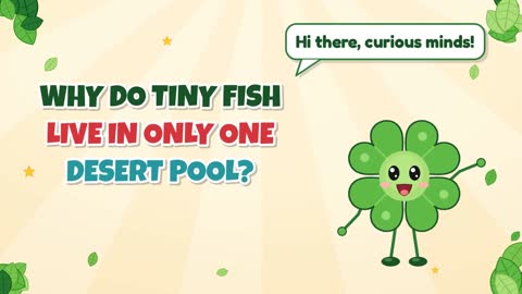 Why Do Tiny Fish Live in Only One Desert Pool?