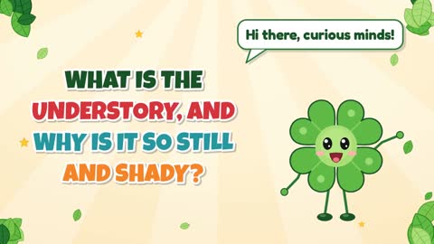 What Is the Understory, and Why Is It So Still and Shady?