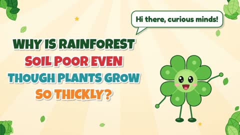 Why Is Rainforest Soil Poor Even Though Plants Grow So Thickly?
