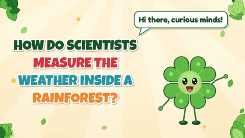 How Do Scientists Measure the Weather Inside a Rainforest?