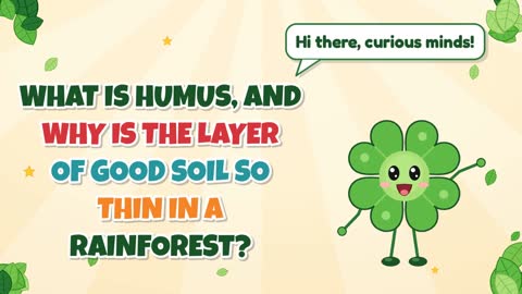 What Is Humus, and Why Is the Layer of Good Soil So Thin in a Rainforest?
