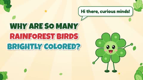 Why Are So Many Rainforest Birds Brightly Colored?