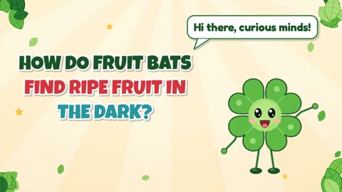 How Do Fruit Bats Find Ripe Fruit in the Dark?
