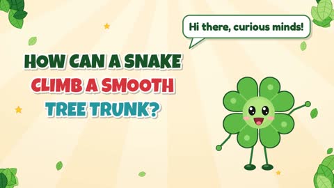 How Can a Snake Climb a Smooth Tree Trunk?