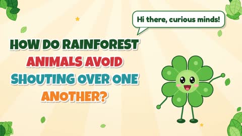 How Do Rainforest Animals Avoid Shouting Over One Another?
