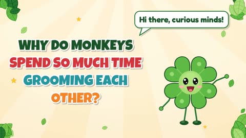 Why Do Monkeys Spend So Much Time Grooming Each Other?