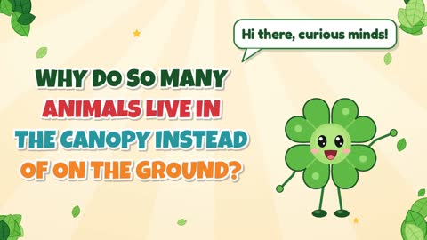 Why Do So Many Animals Live in the Canopy Instead of on the Ground?