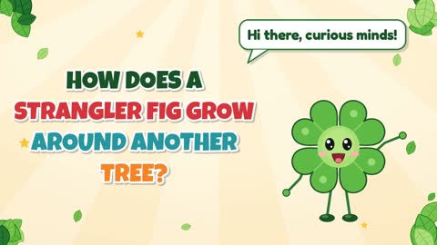 How Does a Strangler Fig Grow Around Another Tree?