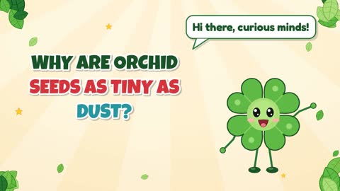 Why Are Orchid Seeds as Tiny as Dust?