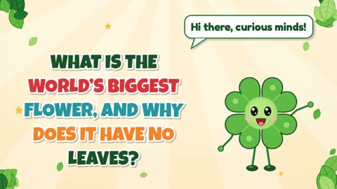 What Is the World’s Biggest Flower, and Why Does It Have No Leaves?