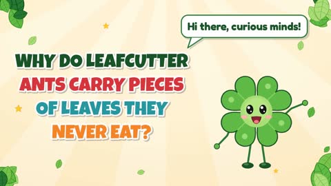 Why Do Leafcutter Ants Carry Pieces of Leaves They Never Eat?