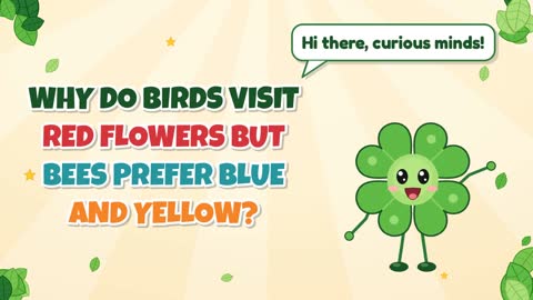Why Do Birds Visit Red Flowers but Bees Prefer Blue and Yellow?