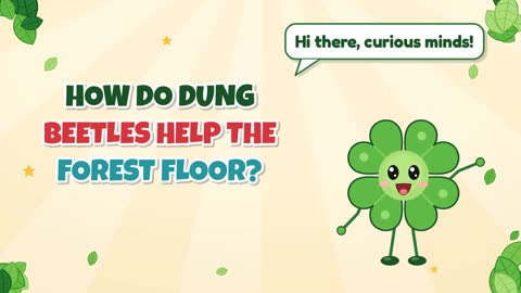 How Do Dung Beetles Help the Forest Floor?