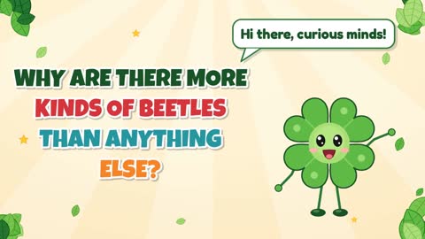 Why Are There More Kinds of Beetles than Anything Else?
