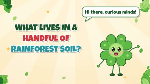 What Lives in a Handful of Rainforest Soil?