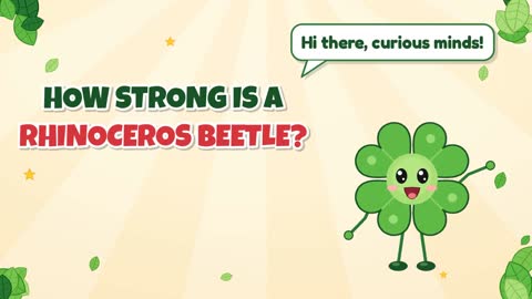 How Strong Is a Rhinoceros Beetle?
