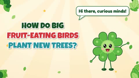 How Do Big Fruit-Eating Birds Plant New Trees?