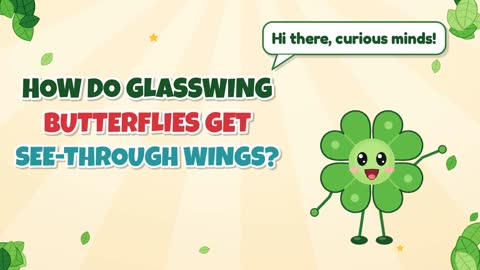 How Do Glasswing Butterflies Get See-Through Wings?