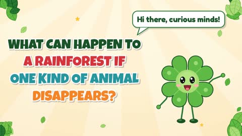 What Can Happen to a Rainforest If One Kind of Animal Disappears?