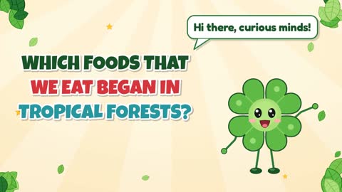 Which Foods That We Eat Began in Tropical Forests?