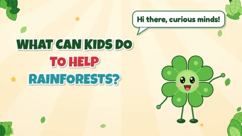 What Can Kids Do to Help Rainforests?