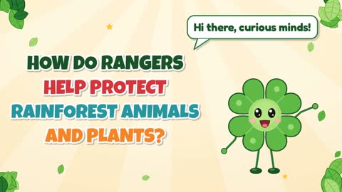 How Do Rangers Help Protect Rainforest Animals and Plants?